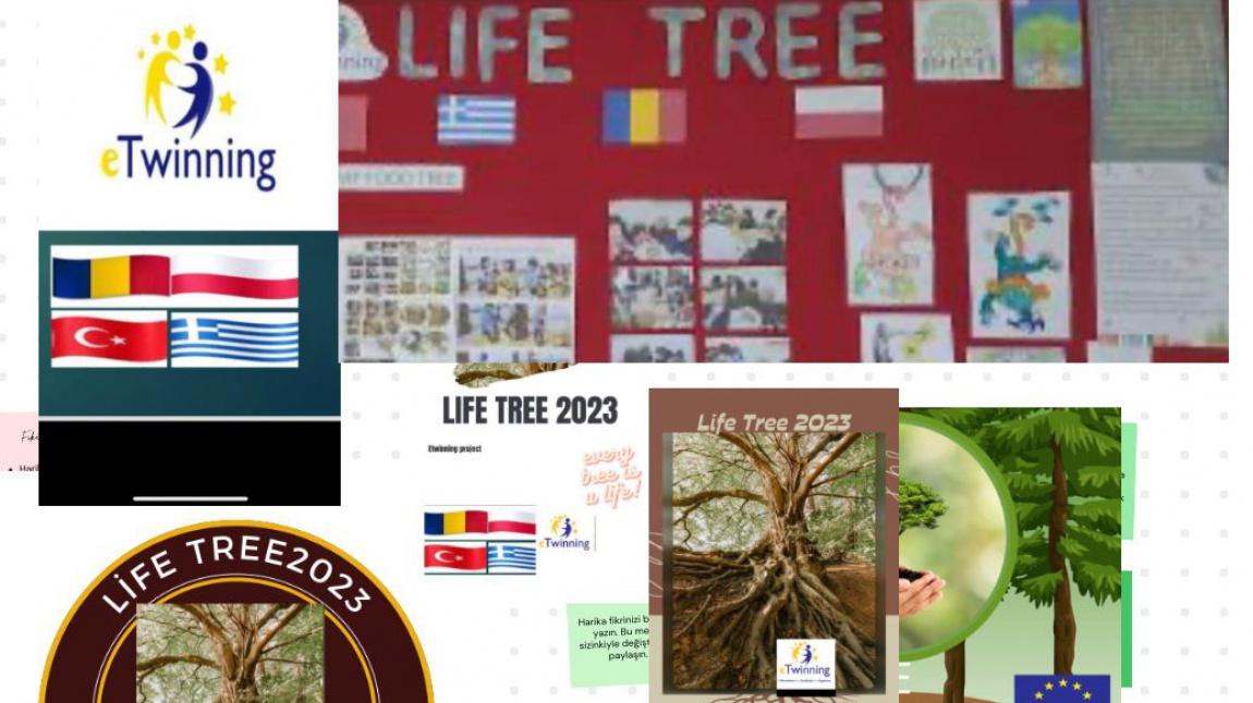 Our etwinning project My Life tree